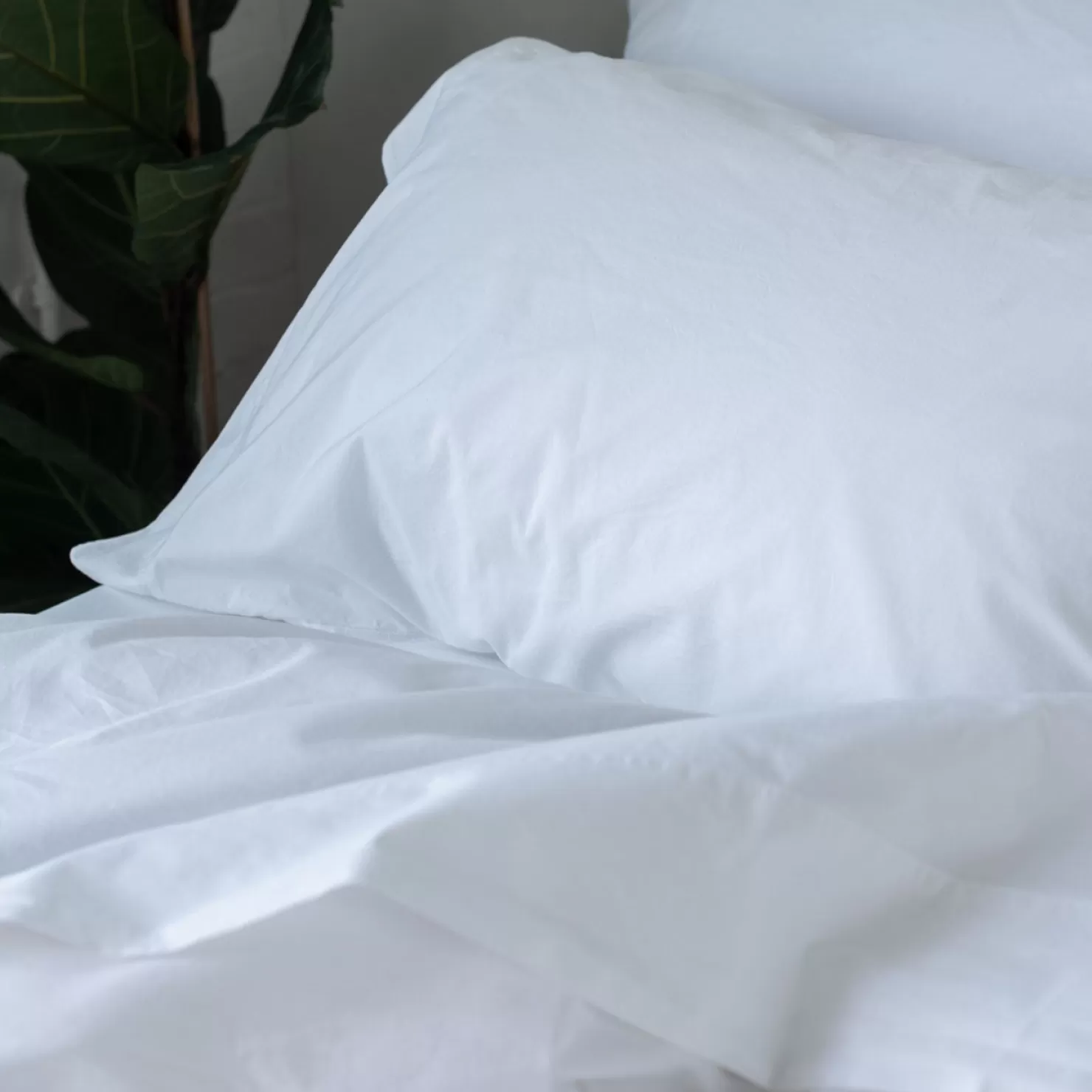 Piglet in Bed White Washed Cotton Percale Flat Sheet